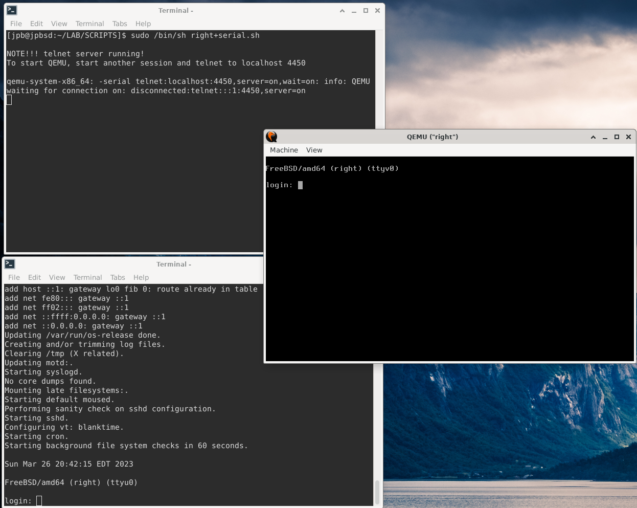 Figure 3: Qemu With Console and Serial Sessions